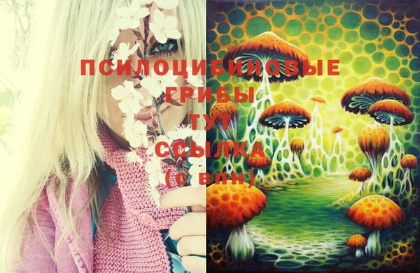 МДМА Кукмор