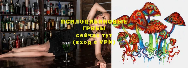 PSILOCYBIN Куйбышев